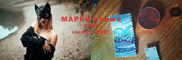 стаф Верея