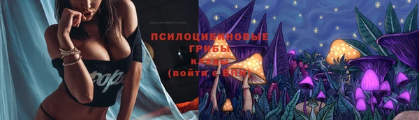 стаф Верея