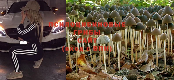 МДПВ Верхний Тагил