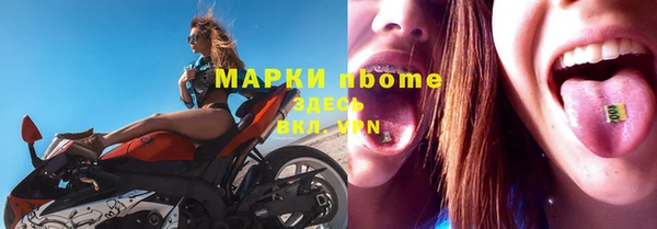 стаф Верея