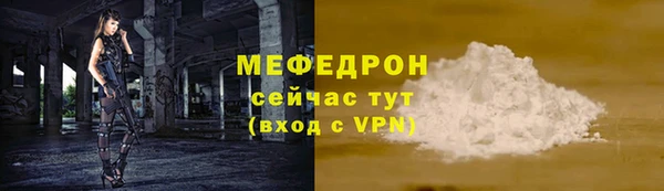 стаф Верея