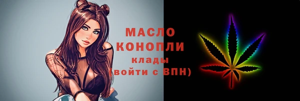 стаф Верея