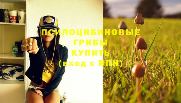 ПСИЛОЦИБИНОВЫЕ ГРИБЫ Верхнеуральск