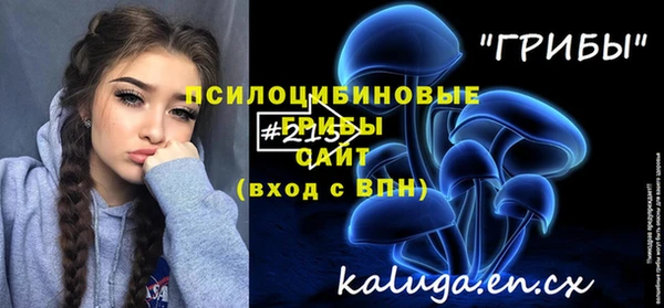 ПСИЛОЦИБИНОВЫЕ ГРИБЫ Верхнеуральск