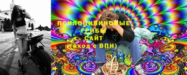 МДПВ Верхний Тагил