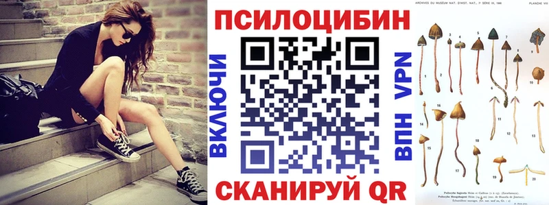 omg зеркало  Карабулак  Галлюциногенные грибы Psilocybine cubensis 